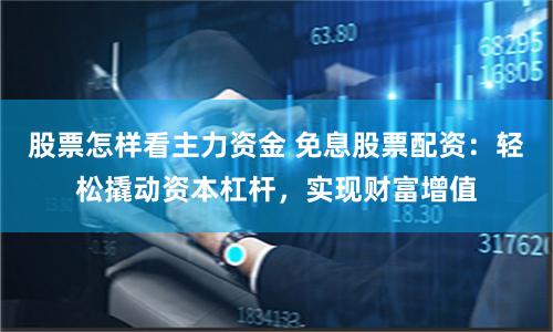 股票怎样看主力资金 免息股票配资：轻松撬动资本杠杆，实现财富增值