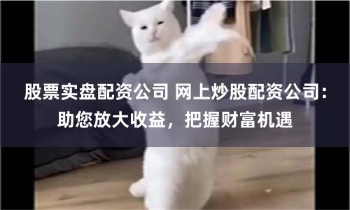 股票实盘配资公司 网上炒股配资公司:助您放大收益,把握财富机遇